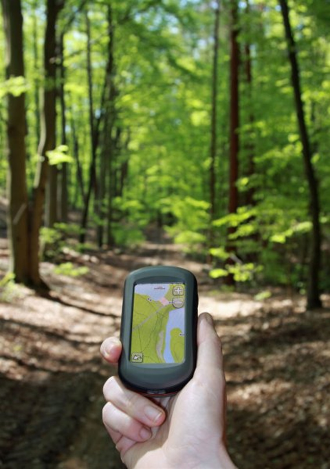 depositphotos_10822741-stock-photo-outdoor-navigation-in-the-forest.jpg