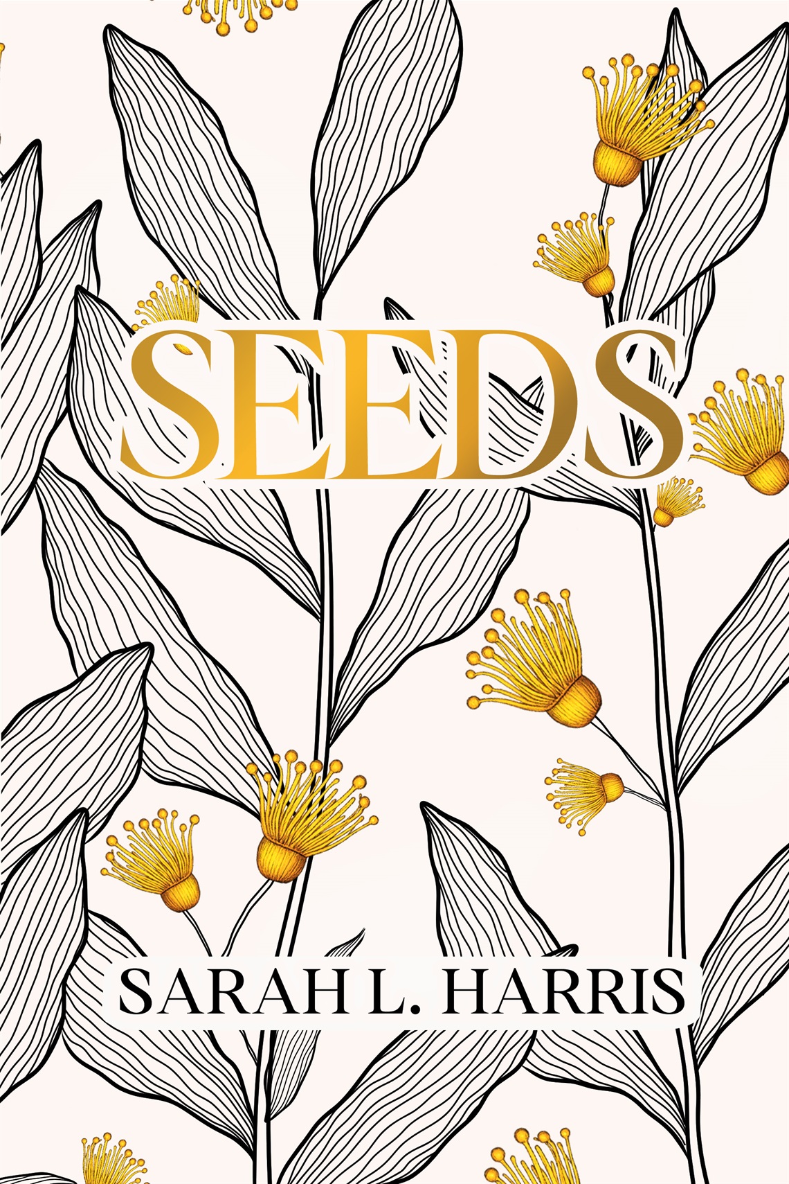 Seeds.jpg