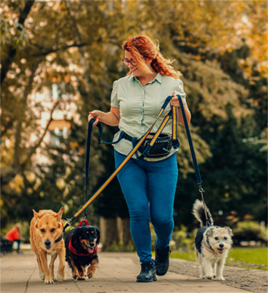 Screenshot 2025-09-22 125825.png