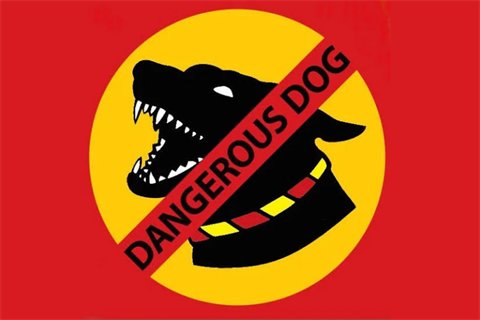 Dangerous Dog