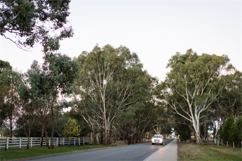 Roads Forum Image.png