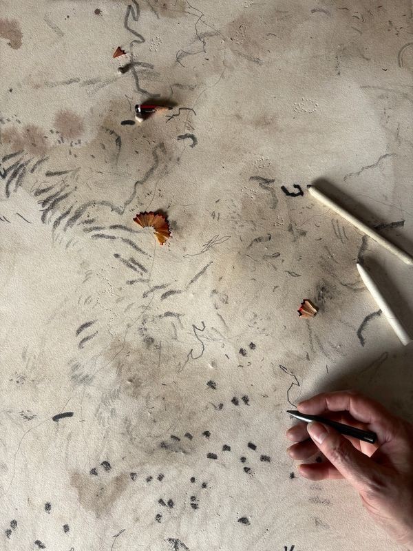 Traces of the Forest 02.jpg