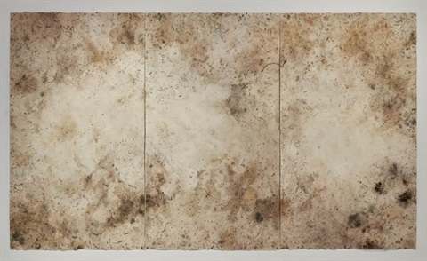 Traces of the Forest.jpg