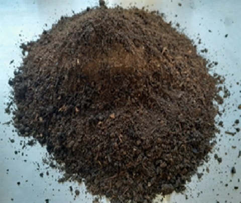 Organics Compost.jpg