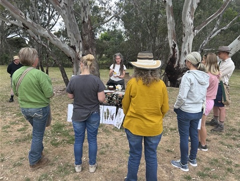 Edible weeds walk and talk