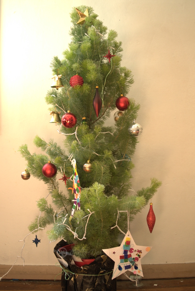 Native Christmas Tree_Mallee Design.jpg