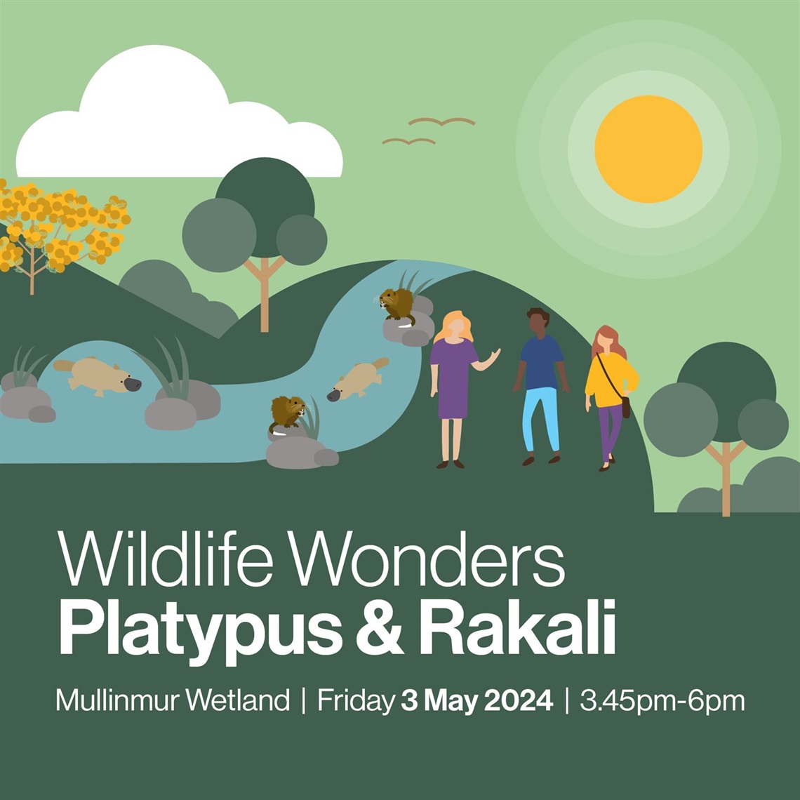 RCOW-398 Platypus and Rakali Social Tile.jpg
