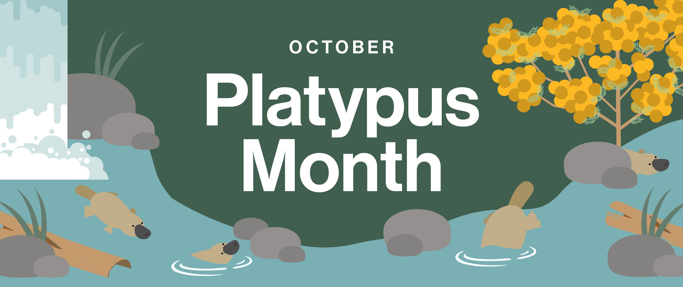 RCOW-792 Spring Into Sustainability-Platypus Month.jpg