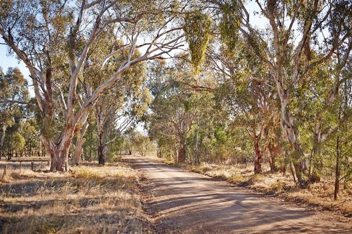 Rural road