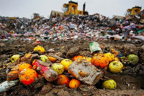 Waste-Management-Review.jpg