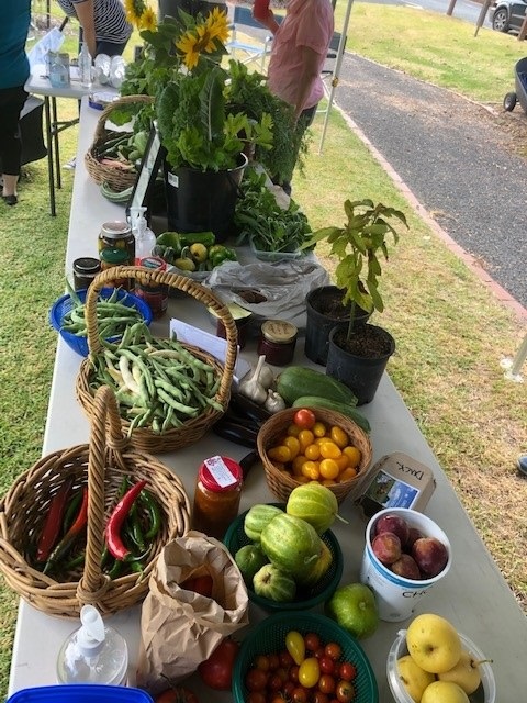Photo Eldorado Food Share photo.jpg