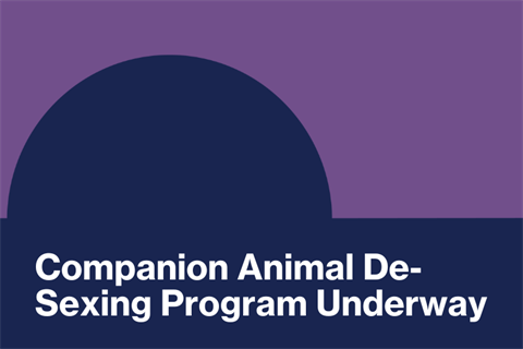 Companion Animal De-Sexing Program Underway .png
