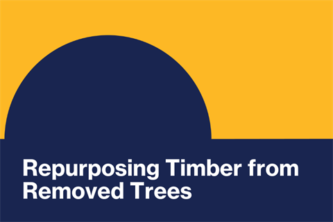 Repurposing Timber from Removed Trees.png