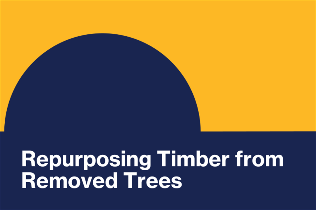 Repurposing Timber from Removed Trees Rural City of Wangaratta