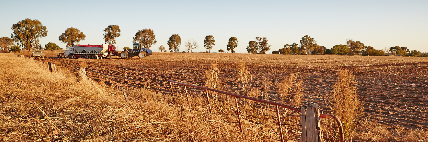 Schools header (4).png