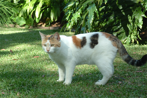 Website tile (12).png