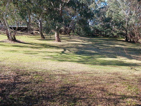 20240625_120800.jpg