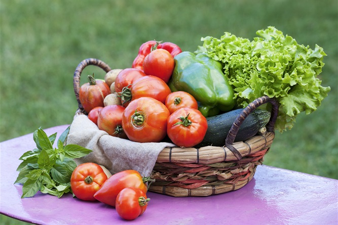 vegetables-table-garden-sunlight.jpg